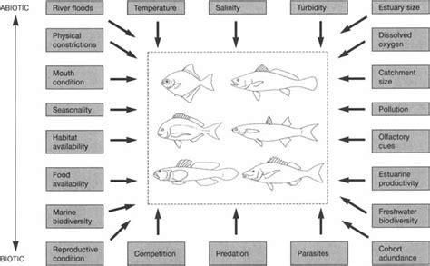 What are the Factors that Influence a Fish’s Environment?